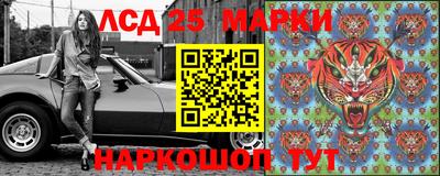 крисы Кинель