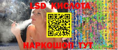 крисы Кинель