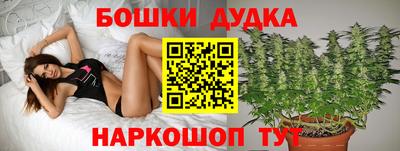 скорость Кимры